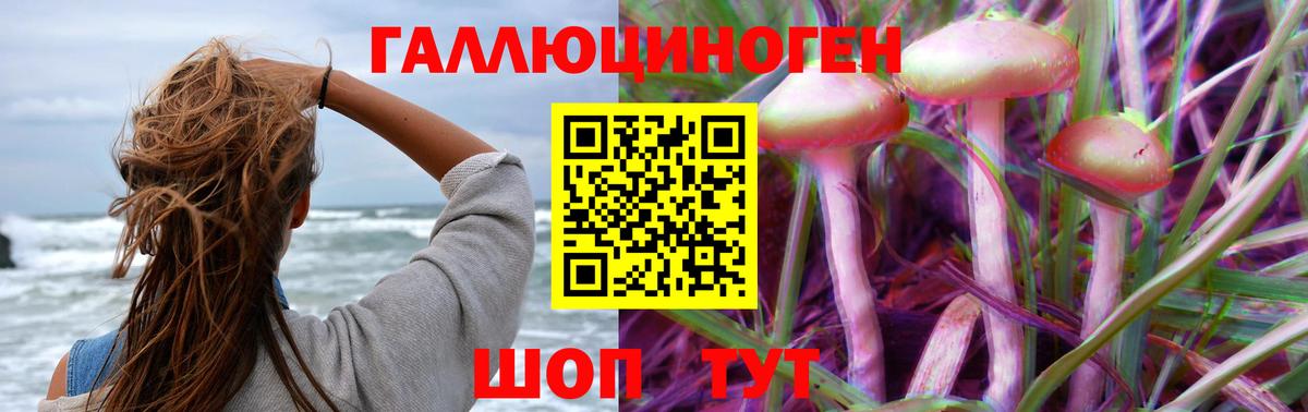 Хасавюрт  Галлюциногенные грибы мухоморы  Вход с VPN 