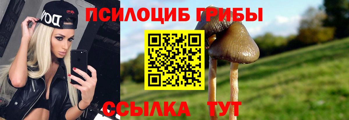Псилоцибиновые грибы Magic Shrooms Хасавюрт