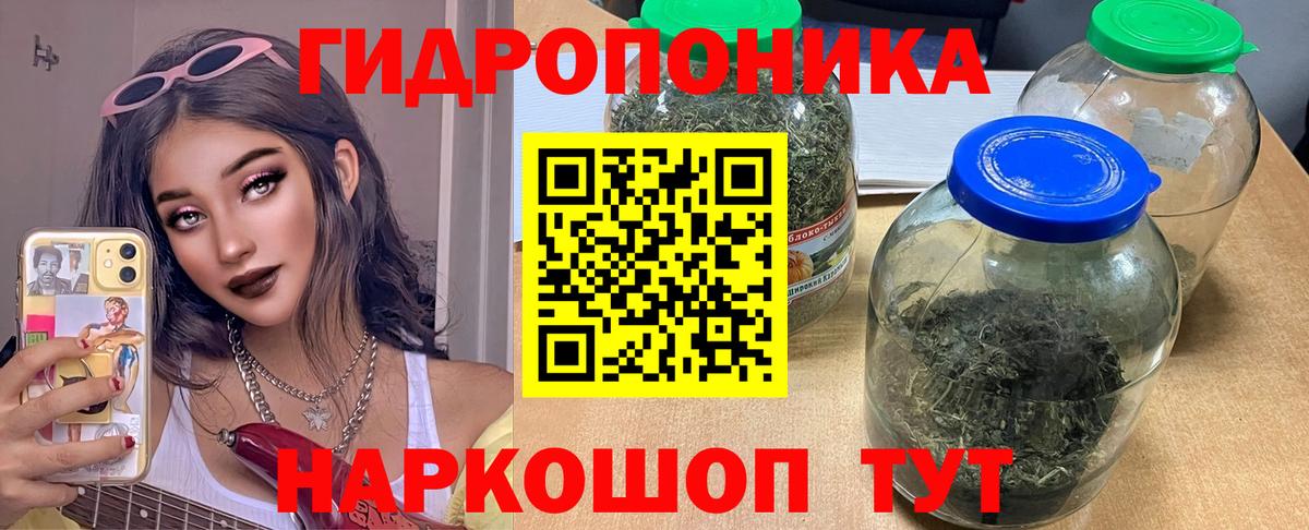 Бошки Шишки Amnesia  Вход с VPN  МАРИХУАНА ГИДРОПОН  Каннабис индика  Шишки марихуана марихуана  Хасавюрт 